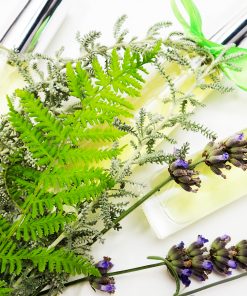Ferns and Forest Perfume Samples Pack